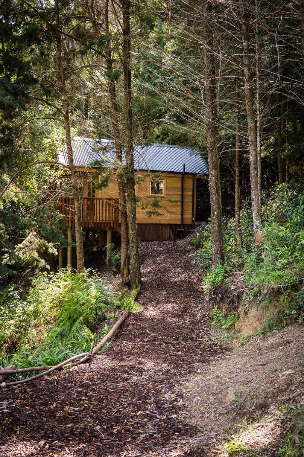 Maitai Whare Iti - Adventure Cabins & House Nelson Luaran gambar