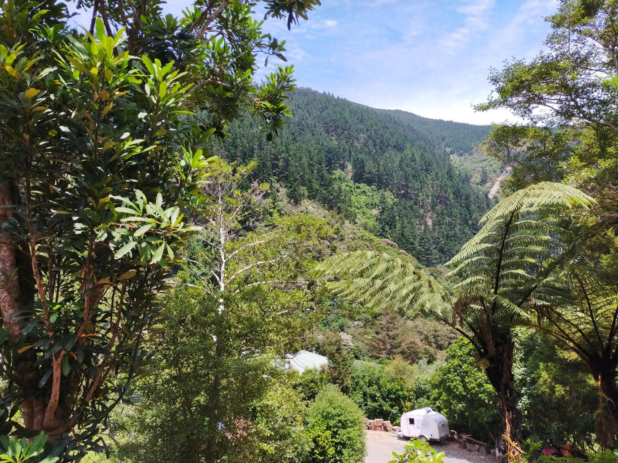 Maitai Whare Iti - Adventure Cabins & House Nelson Luaran gambar